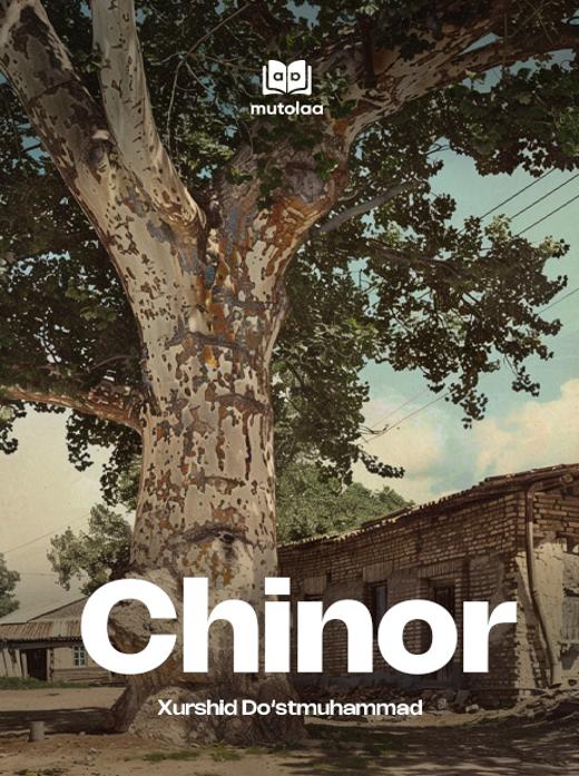Chinor